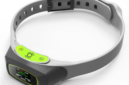 Rendering of dog collar with GPS