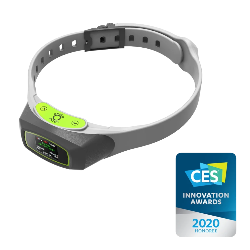 Dog collar with a CES award