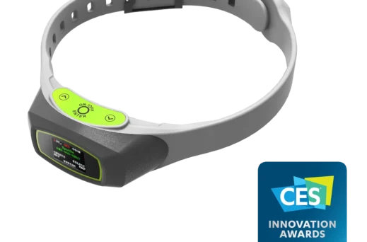 Dog collar with a CES award