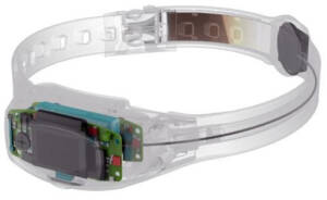 Rendering of a clear collar